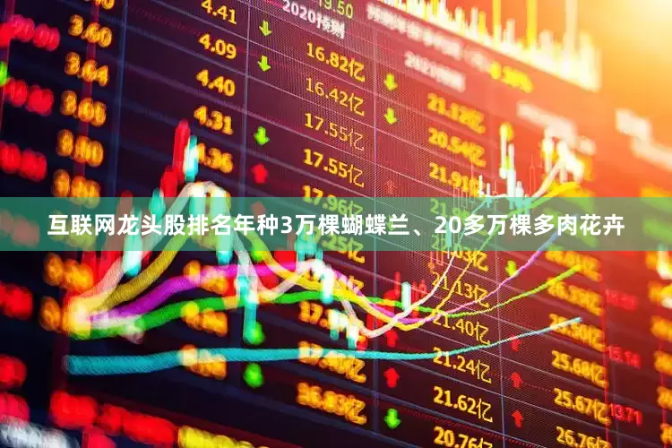互联网龙头股排名年种3万棵蝴蝶兰、20多万棵多肉花卉