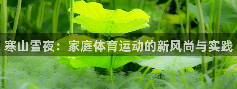 678体育：寒山雪夜：家庭体育运动的新风尚与实践