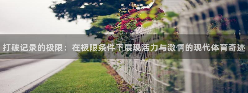 678体育官网下载：打破记录的极限：在极限条件下展现活力与激情的现代体育奇迹