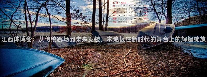 678体育官网地址：江西体博会：从传统赛场到未来竞技，木地板在新时代的舞台上的辉煌绽放