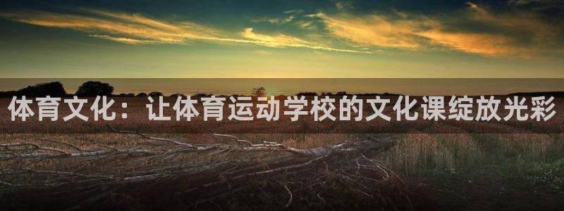 678体育知识：体育文化：让体育运动学校的文化课绽放光彩