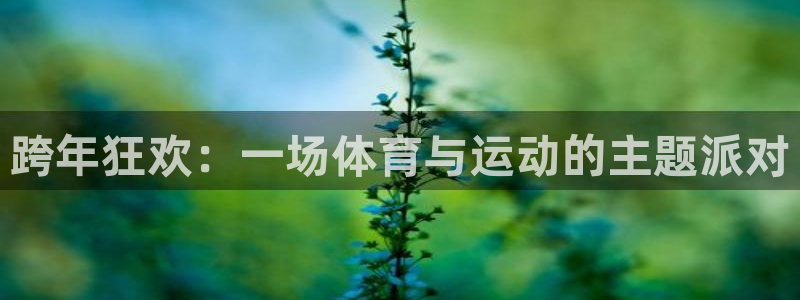 皇冠678体育：跨年狂欢：一场体育与运动的主题派对