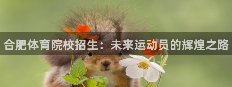 678体育官网：合肥体育院校招生：未来运动员的辉煌之路