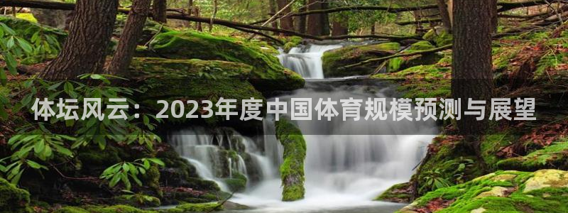 678体育app：体坛风云：2023年度中国体育规模预测与展望