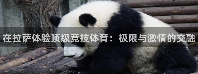 678体育官网下载：在拉萨体验顶级竞技体育：极限与激情的交融