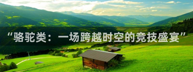 678体育官网下载：“骆驼类：一场跨越时空的竞技盛宴”