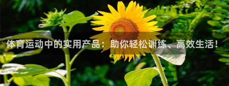 皇冠678体育：体育运动中的实用产品：助你轻松训练、高效生活！