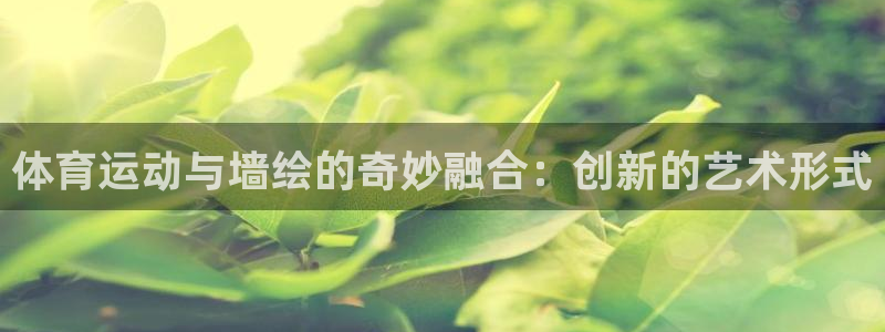 678体育官网：体育运动与墙绘的奇妙融合：创新的艺术形式