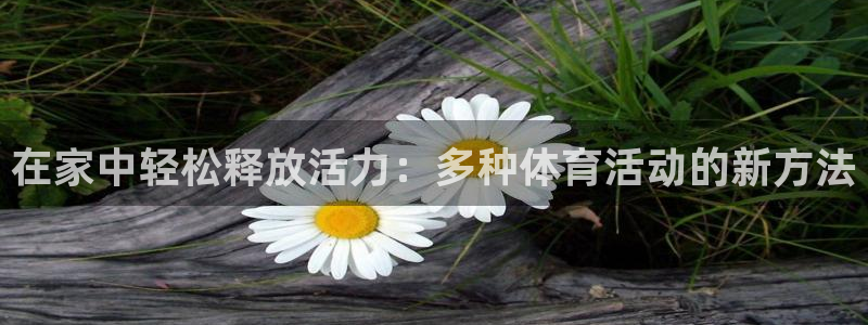 678体育app：在家中轻松释放活力：多种体育活动的新方法