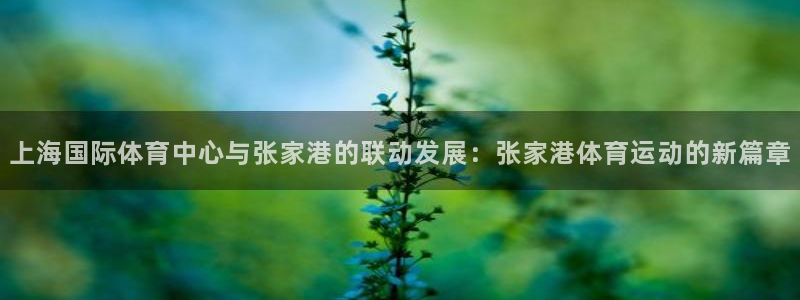 678体育官网下载：上海国际体育中心与张家港的联动发展：张家港体育运动的新篇章
