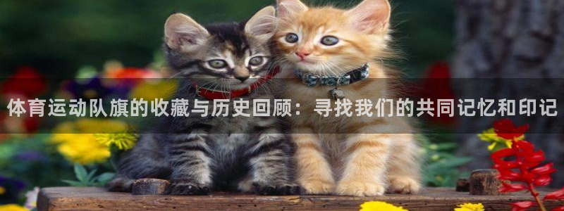 皇冠678体育：体育运动队旗的收藏与历史回顾：寻找我们的共同记忆和印记