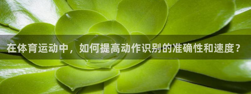 678体育官网：在体育运动中，如何提高动作识别的准确性和速度？