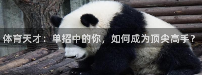 678体育官网下载：体育天才：单招中的你，如何成为顶尖高手？