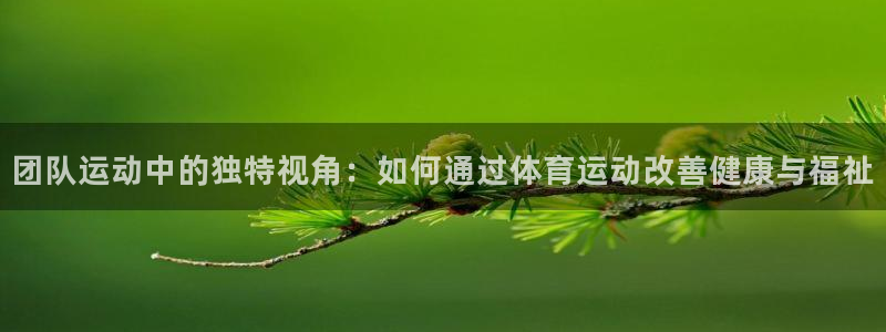 678体育官网：团队运动中的独特视角：如何通过体育运动改善健康与福祉