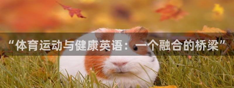 678体育官网地址：“体育运动与健康英语：一个融合的桥梁”
