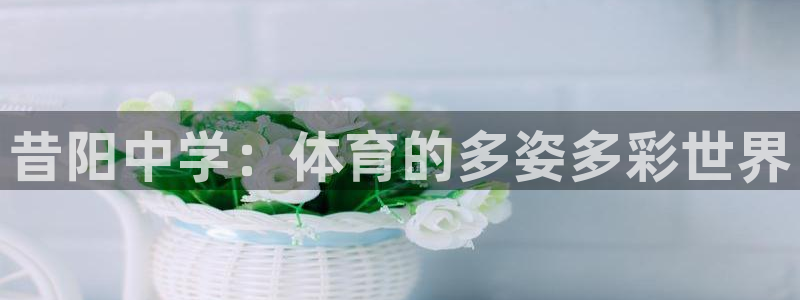678体育官网：昔阳中学：体育的多姿多彩世界